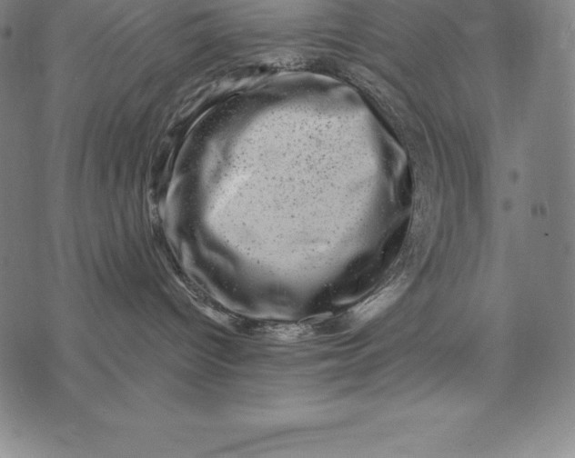 X0000074040096200609111750