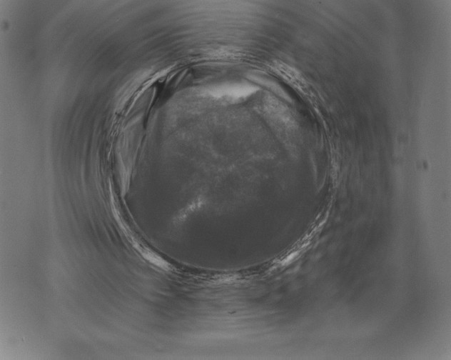 X0000074040097200609111749