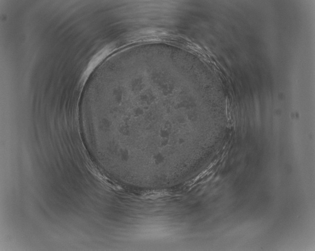 X0000074040099200609111749