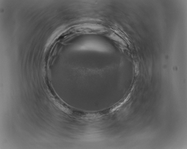 X0000074040101200609111749