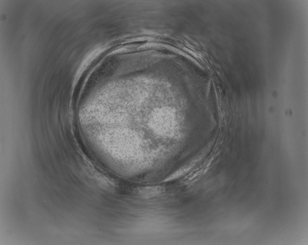 X0000074040102200609111749