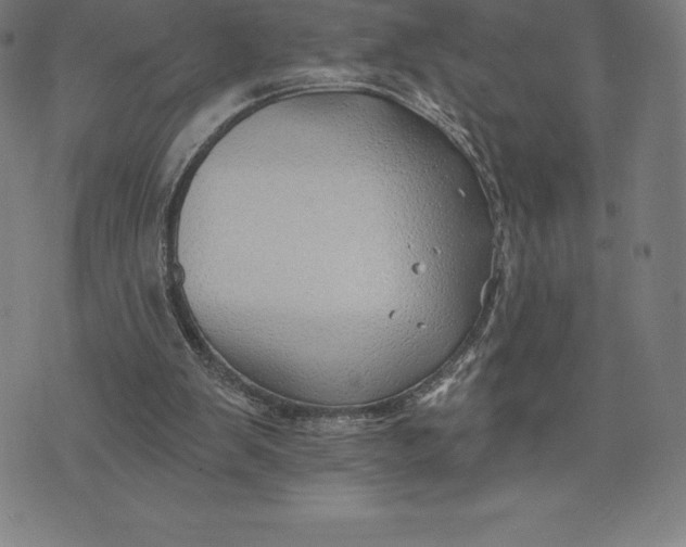 X0000074040103200609111749