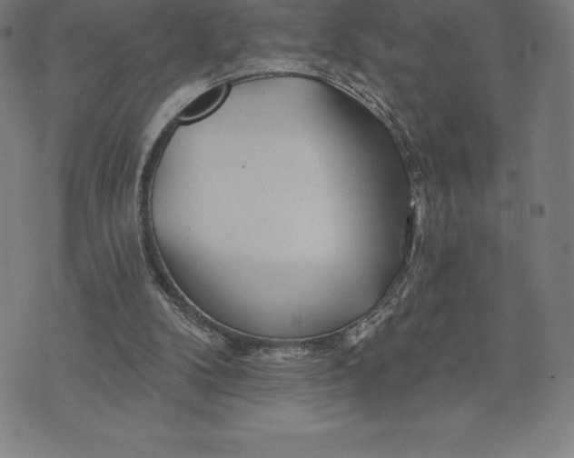 X0000074040104200609111749