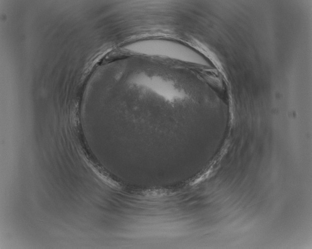 X0000074040105200609111749