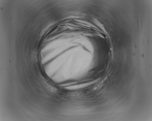 X0000074040106200609111749