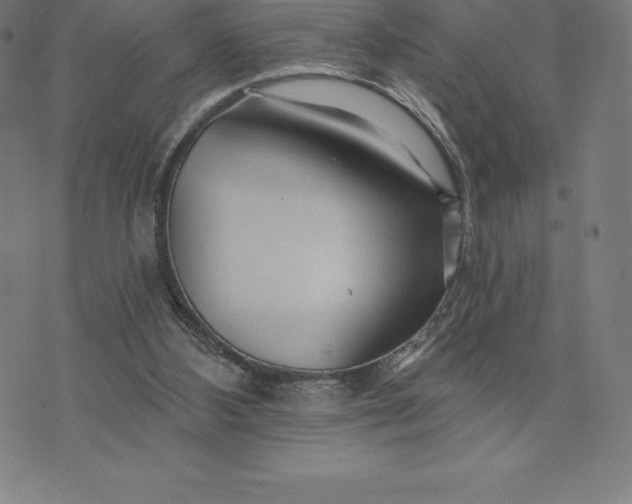 X0000074040108200609111749