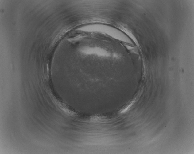 X0000074040109200609111749