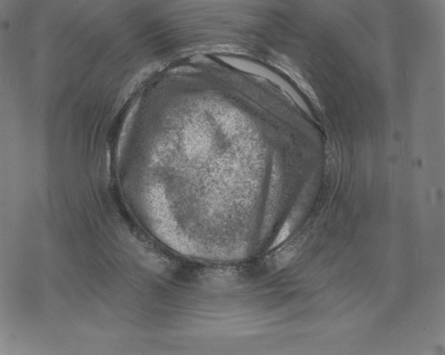 X0000074040110200609111749