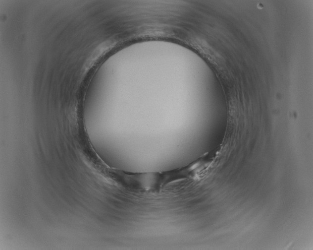 X0000074040112200609111749