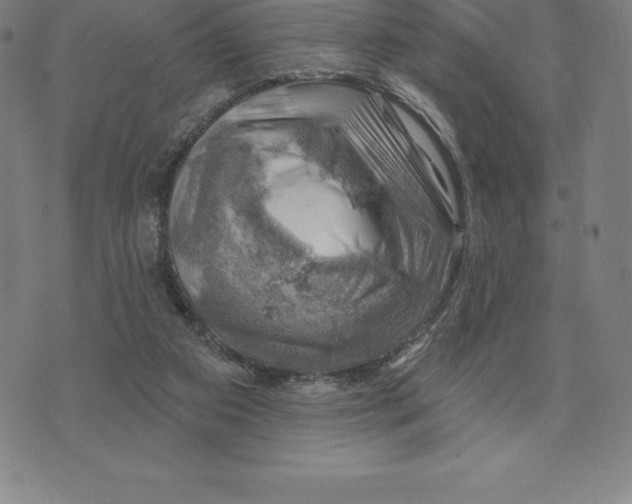 X0000074040113200609111749