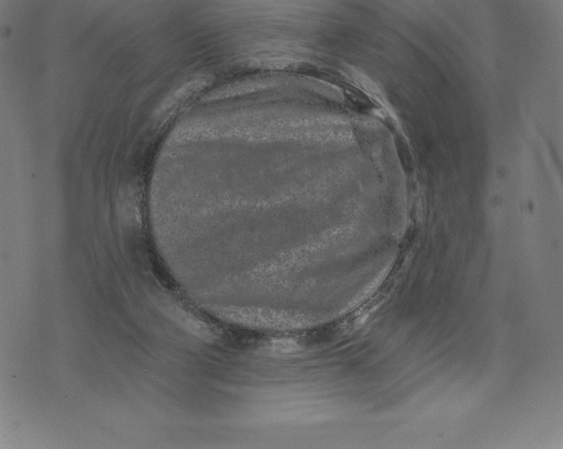 X0000074040114200609111749