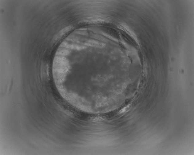 X0000074040115200609111749