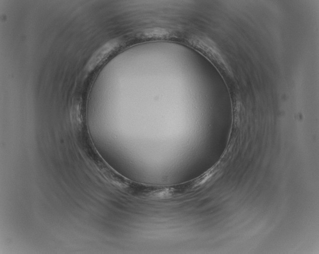 X0000074040116200609111749