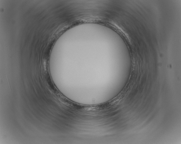 X0000074040117200609111749