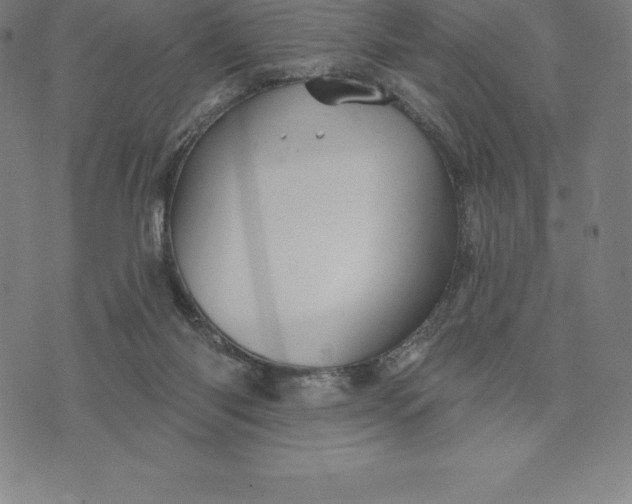 X0000074040118200609111749