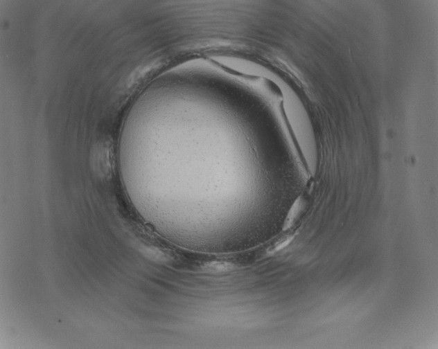 X0000074040119200609111749