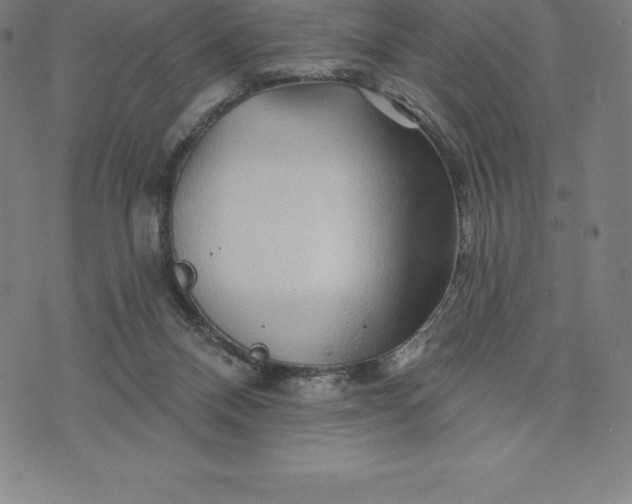 X0000074040120200609111749