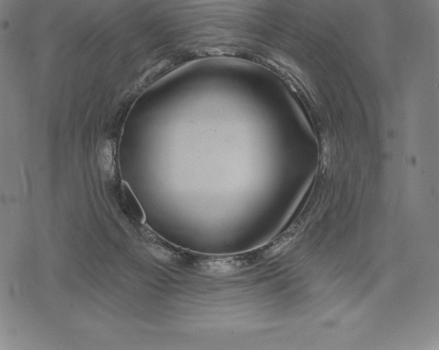 X0000074040121200609111749