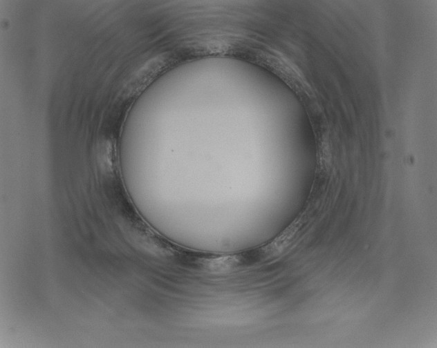 X0000074040122200609111749