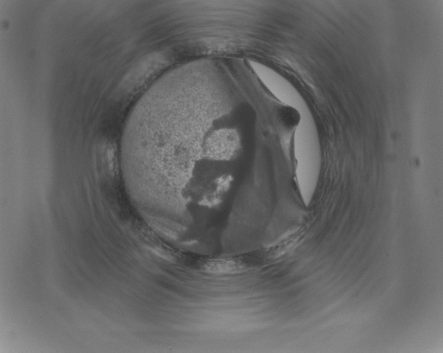 X0000074040123200609111749