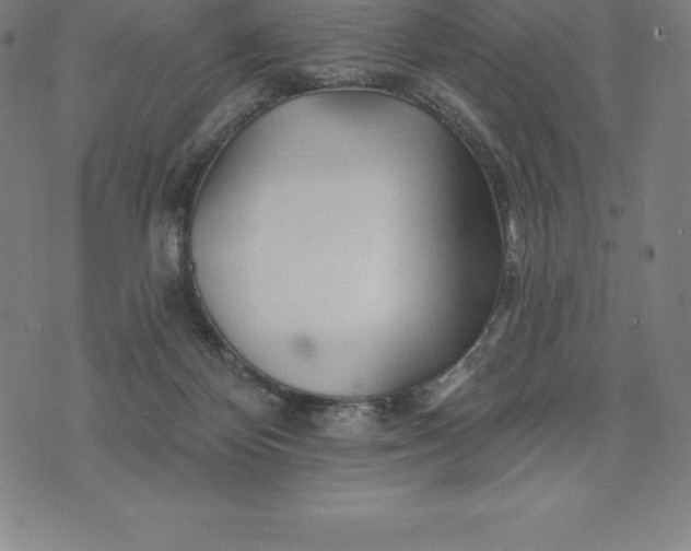 X0000074040124200609111749