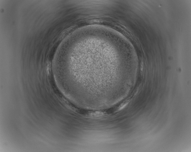 X0000074040125200609111749