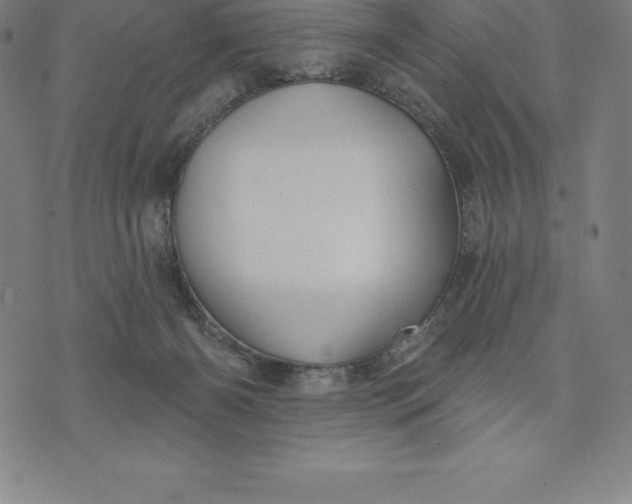 X0000074040126200609111749