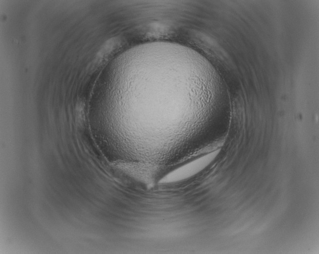 X0000074040127200609111748