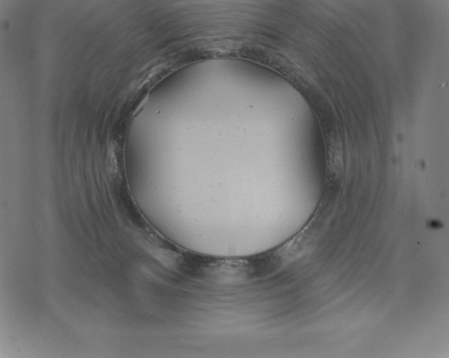 X0000074040128200609111748