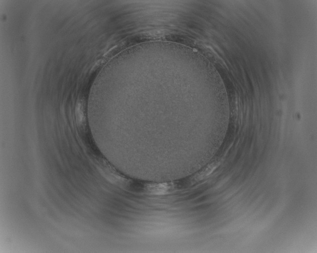 X0000074040131200609111748