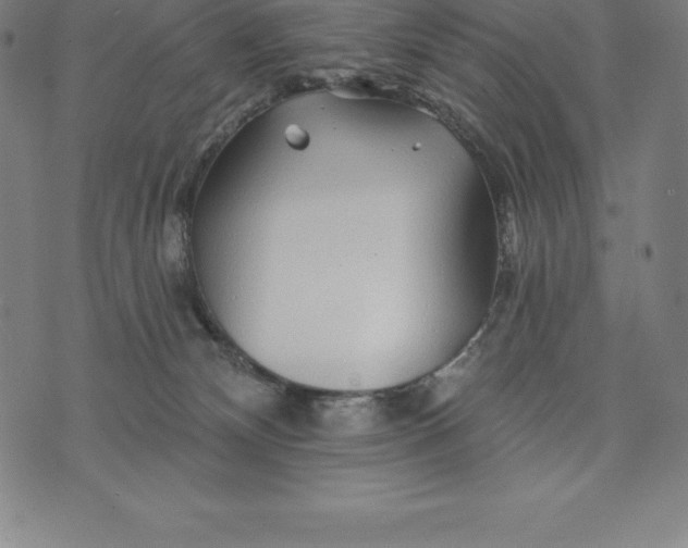 X0000074040132200609111748