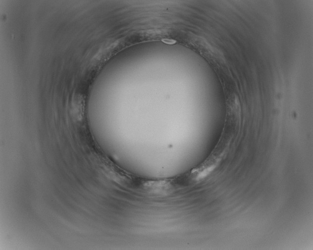 X0000074040133200609111748