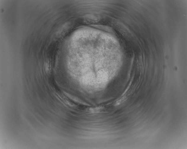 X0000074040134200609111748