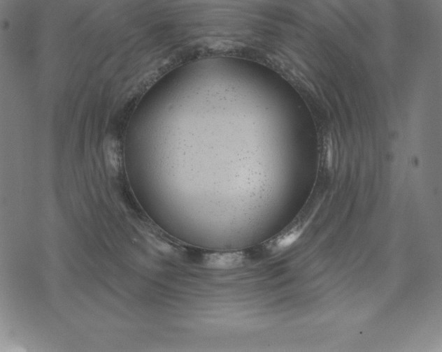 X0000074040135200609111748