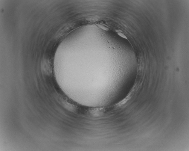 X0000074040136200609111748