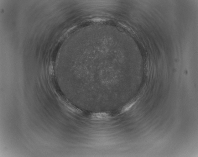 X0000074040137200609111748