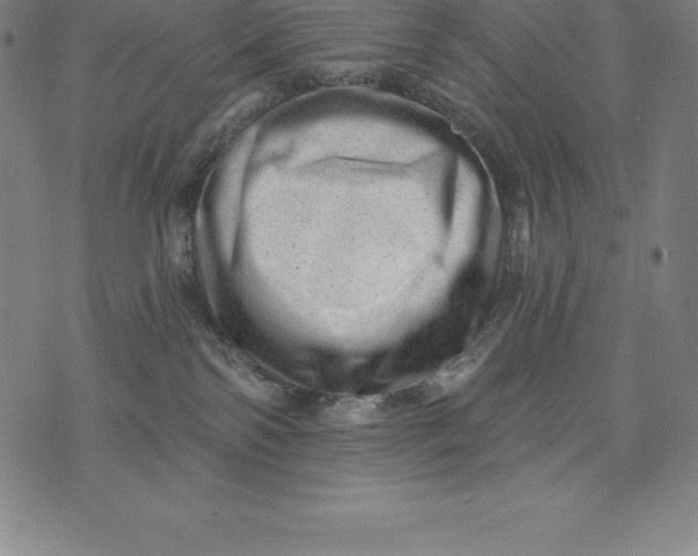 X0000074040138200609111748