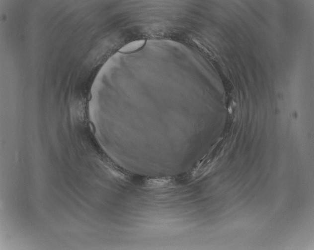 X0000074040139200609111748