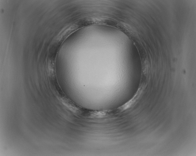 X0000074040140200609111748