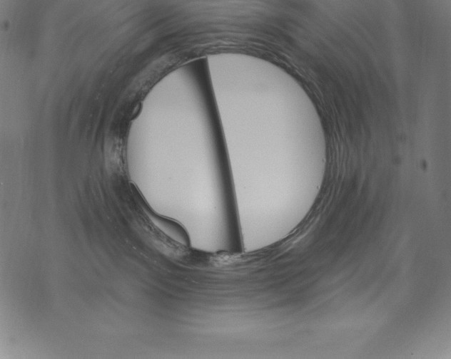 X0000074040141200609111748