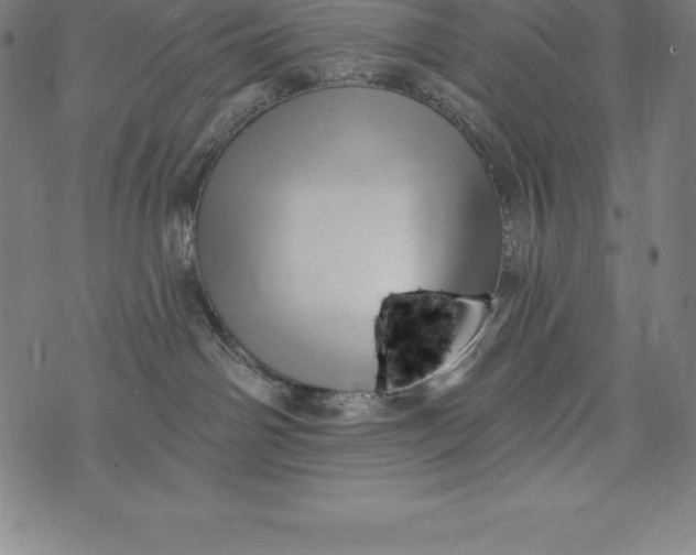 X0000074040142200609111748