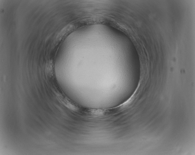 X0000074040144200609111748