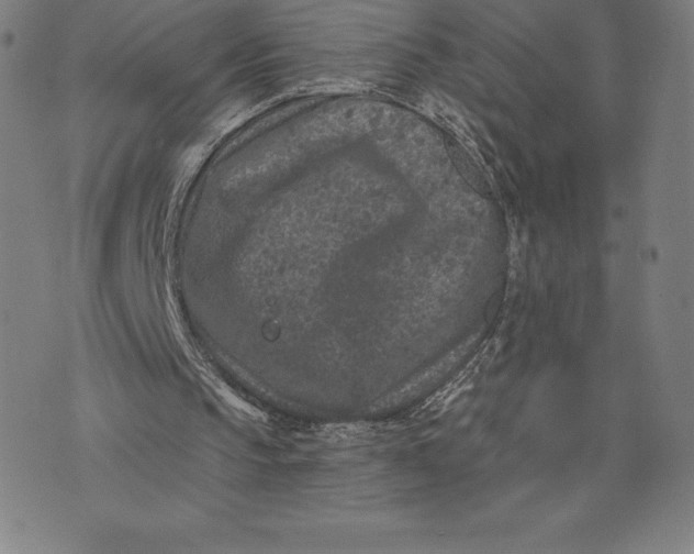 X0000074040145200609111747