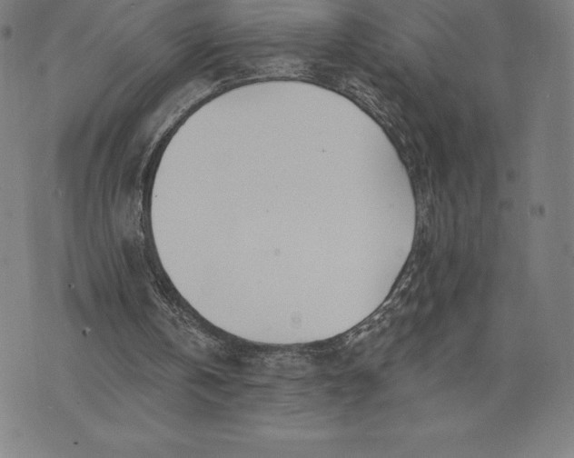 X0000074040146200609111747