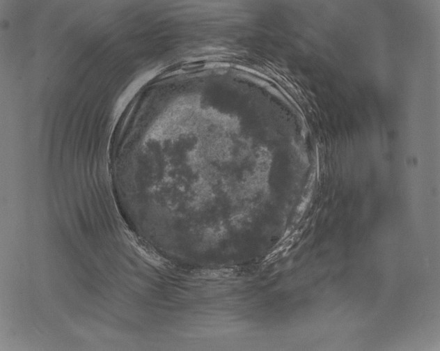 X0000074040147200609111747