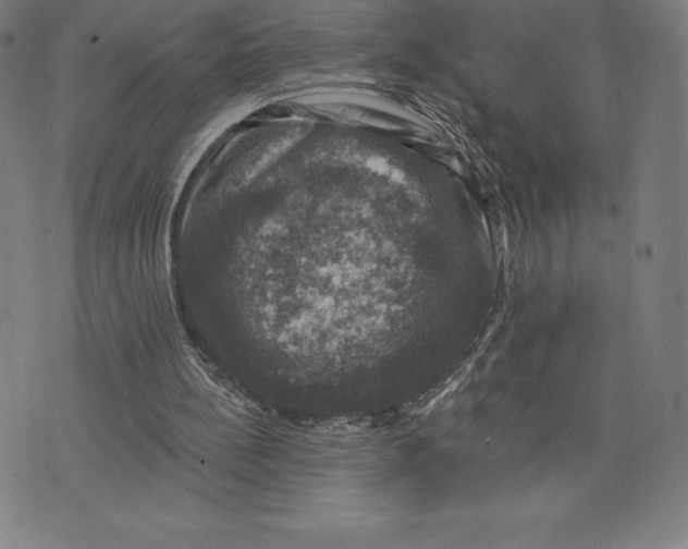 X0000074040148200609111747