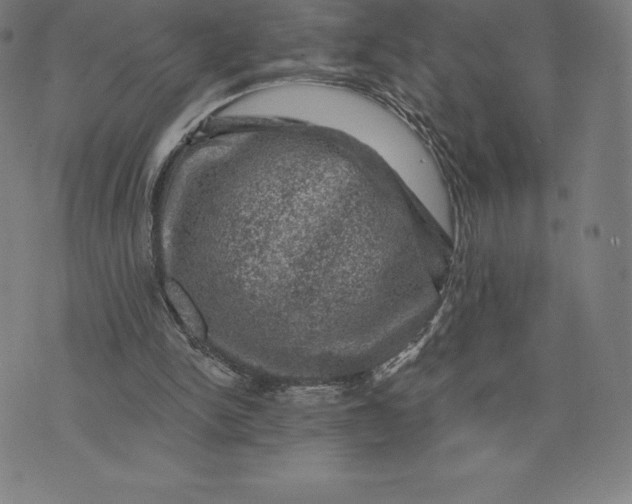 X0000074040150200609111748