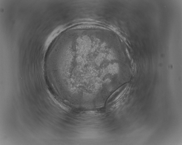 X0000074040151200609111748