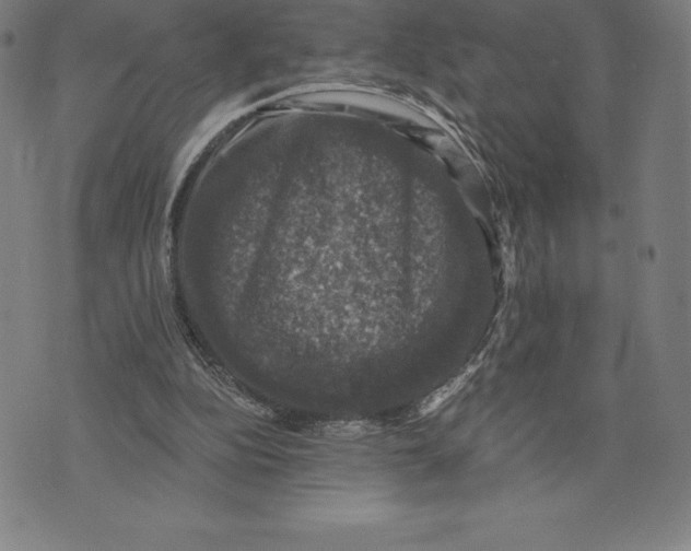 X0000074040152200609111748