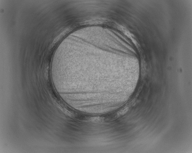 X0000074040153200609111748